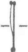 MSW CONCRETE-V1 - COUPE À SEC - 5