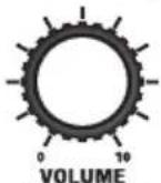 MARSHALL JVM210H - YOUR SETTINGS - 18