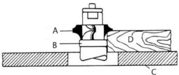 MSW WOOB-4001400 - Positionierung des Halsbandes - 1