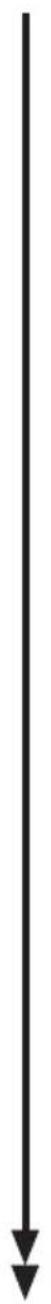 Airforce Slim Pro - 70