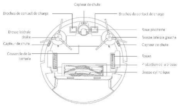 Capteur de chute Broches de contact de charge Broches de contact de charge Urosse latérale droite Capteur de chute Couvercle de la batterie Roue pivotante Brosse latérale gauche Capteur ce chute Roues Protection de a brosse Brosse cyl crique