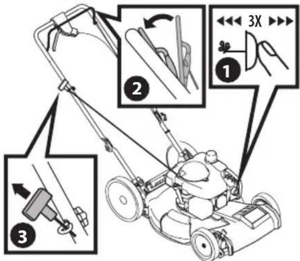 TROY-BILT TB120C - SYSTÈME D'ÉTRANGLEUR AUTOMATIQUE AVEC LANCEUR OU AVEC DÉMARREUR ÉLECTRIQUE - 2