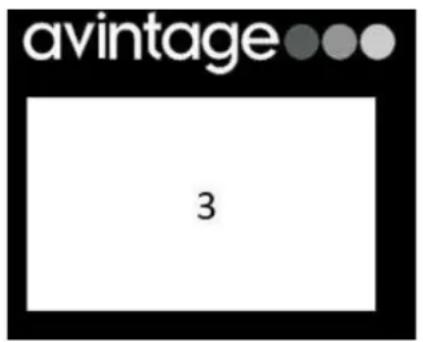 AVINTAGE AVI60PLATINUM - AVI45PLATINUM (Einfache Zone) - 2