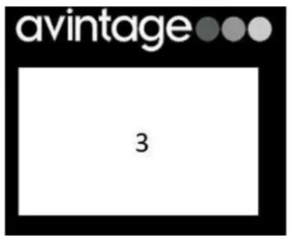 AVINTAGE AVI60PLATINUM - AVI45PLATINUM (Zona semplice) - 2