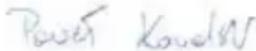NEO tools 14-725 - EN ISO 12100:2010 - 2