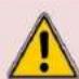 Vulcan Chef's Combi CHEF-102E - Caution: Risk of burns! - 2
