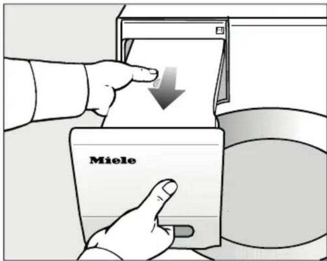 Miele