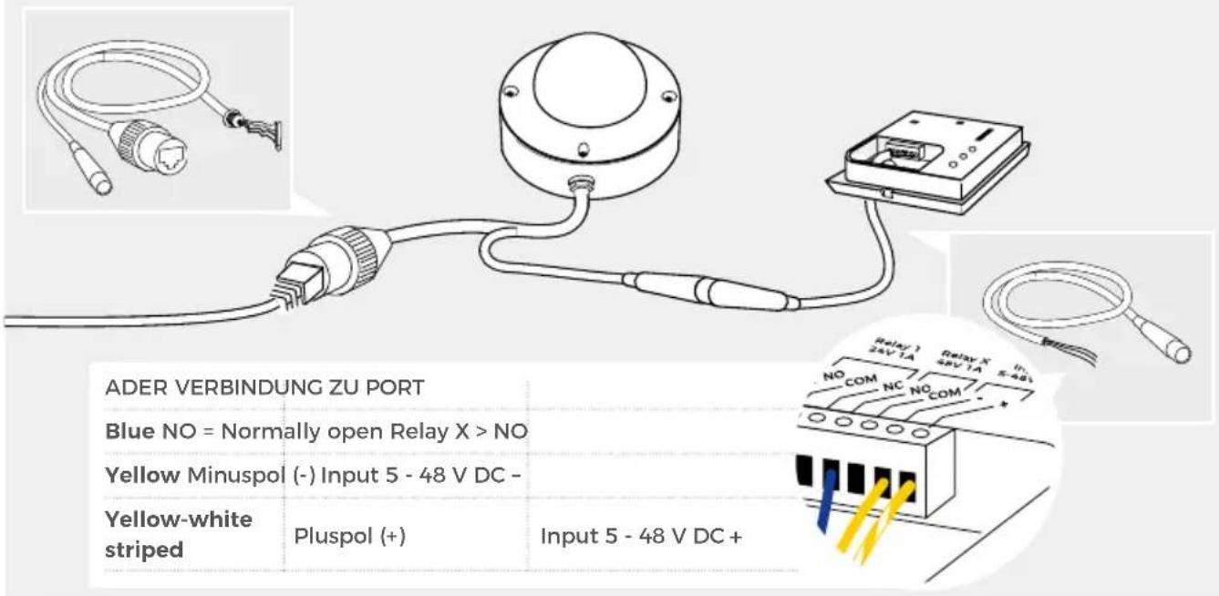 DoorBird A8008 - BEI KOPPLUNG MIT DOORBIRD A1131 IP IP VIDEO MINI DOME KAMERA - 2