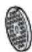 BOSCH Serie 6 MultiPower MFWS670B - Hullskiver - 2