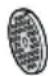 BOSCH Serie 6 MultiPower MFWS670B - Perforated discs - 2