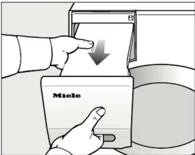 Miele