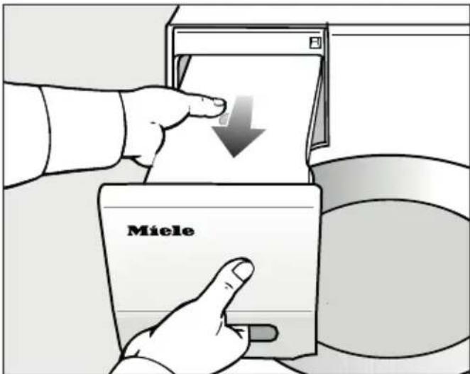 Miele