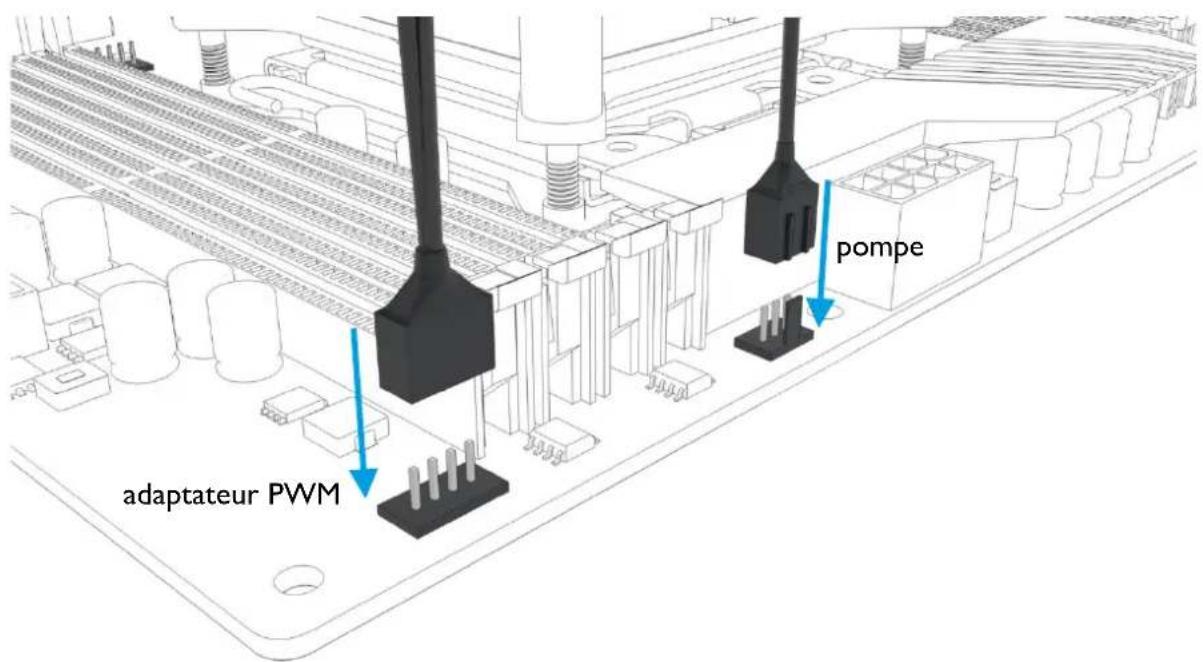 Alphacool Eisbaer 240 - BRANCHEMENT DES VENTILATEURS ET DE LA POMPE - 2