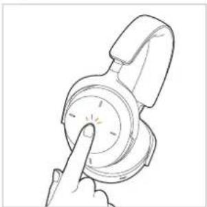 BEYERDYNAMIC Aventho 300 - Faixa seguinte / Avançar - 5
