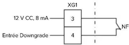 XG1 12 V CC, 8 mA 3 4 Entrée Downgrade NF