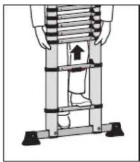 HAILO Flexline T80 - e / piese de schimb - 9