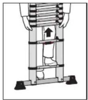 HAILO Flexline T80 - Advance note: - 5