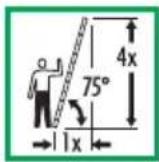 HAILO Flexline T80 - Identifi caciones para escaleras de mano 7.2 - 3