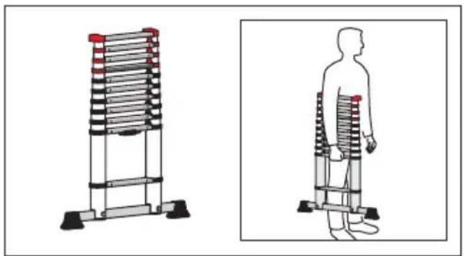 HAILO Flexline T80 - Durata d'utilizzo 12. Assisten - 1