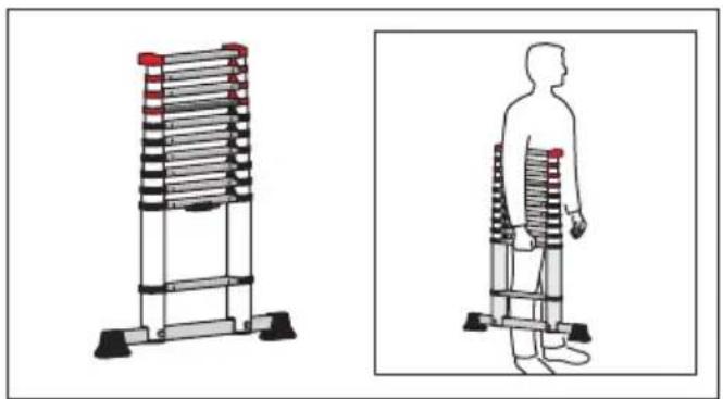 HAILO Flexline T80 - Transportēšana / uzglabāšana - 1
