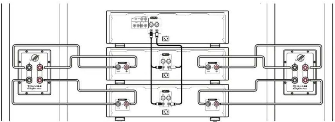 TRIANGLE Magellan Voce 40th - BI-AMPING connections - 1