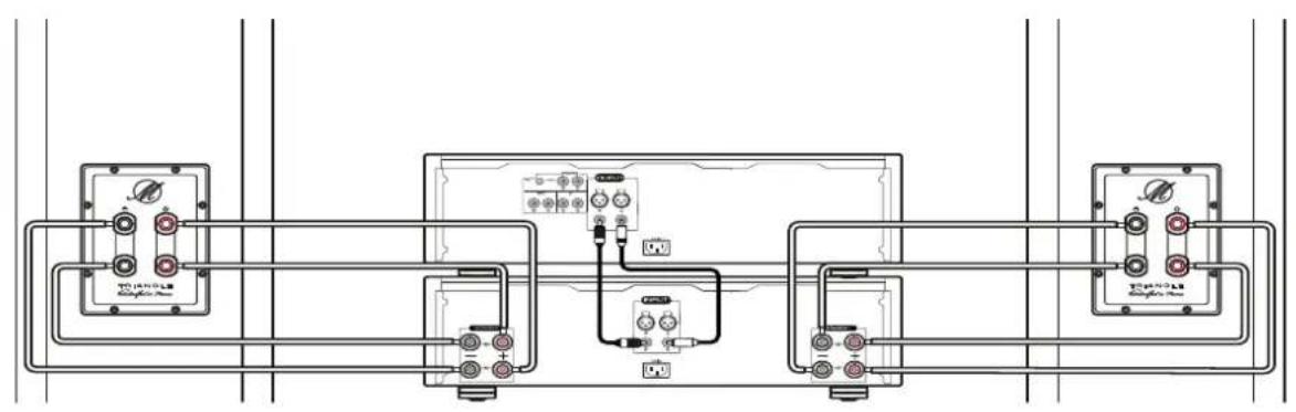 TRIANGLE Magellan Voce 40th - BI-WIRING connections - 1