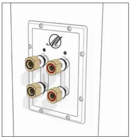 TRIANGLE Magellan Voce 40th - Bi-wiring &amp; bi-amping - 1