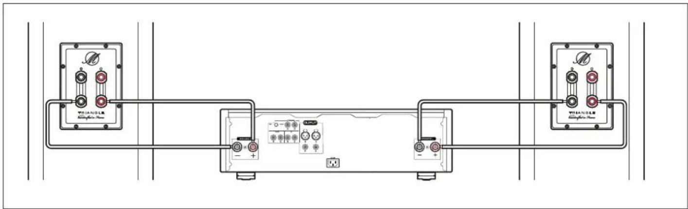 TRIANGLE Magellan Voce 40th - MONO-WIRING connections - 1