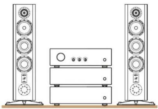 TRIANGLE Magellan Voce 40th - BI-WIRING connections - 2