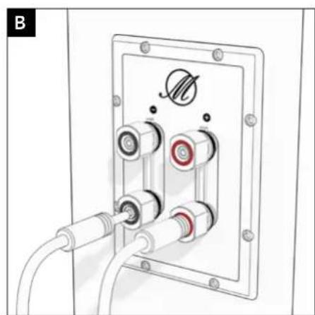 TRIANGLE Magellan Voce 40th - C - Connection with fork-mounted cables - 2