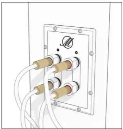 TRIANGLE Magellan Voce 40th - Bi-wiring &amp; bi-amping - 5