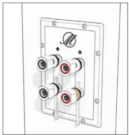 TRIANGLE Magellan Voce 40th - Bi-wiring &amp; bi-amping - 2