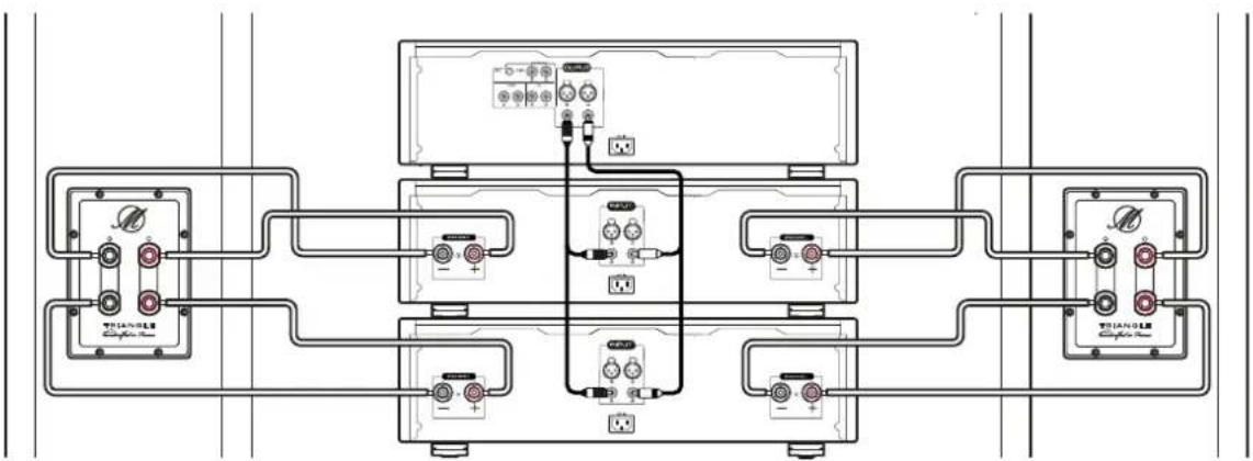 TRIANGLE Magellan Voce 40th - Branchements BI-AMPLIFICATION - 1