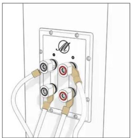 TRIANGLE Magellan Voce 40th - Bi-wiring &amp; bi-amping - 6