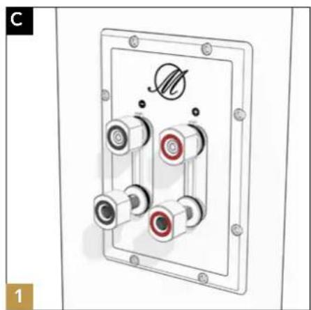 TRIANGLE Magellan Voce 40th - C - Connection with fork-mounted cables - 3