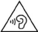 FOCAL Vestia No. 3 - IMPORTANT SAFETY INSTRUCTIONS! - 5