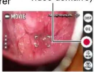 MOVIE AB DEFGHUKLYN DISP OE 法 制