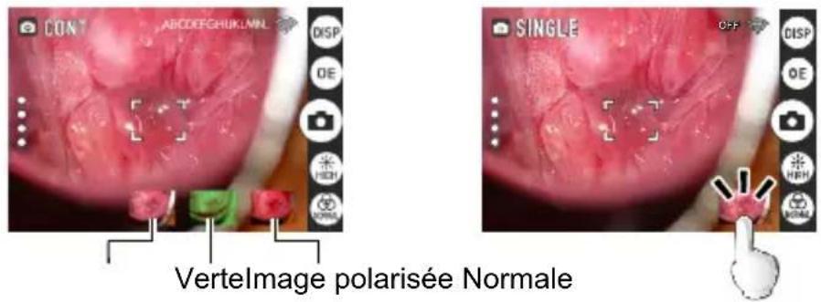 CONT ABCCDFCHUKLMNL DISP OE HSH NOMAL SINGLE OFF DISP OE HSH NOMAL Vertelmage polarisée Normale