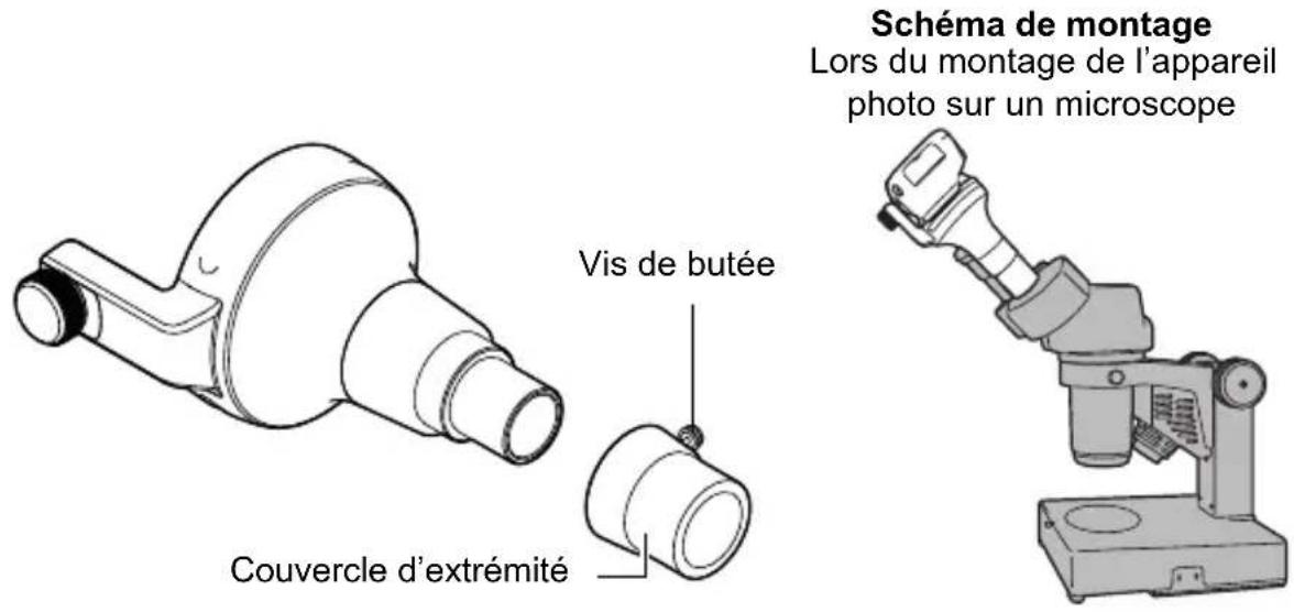 Vis de butée Couvercle d'extrémité Schéma de montage Lors du montage de l'appareil photo sur un microscope