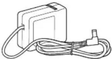 CASIO DZ-D100 - Vérification des accessoires - 3
