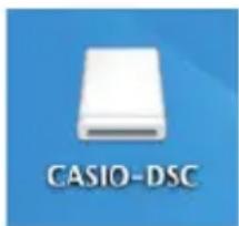 CASIO DZ-D100 - Débranchez l'appareil photo de l'ordinateur. - 1