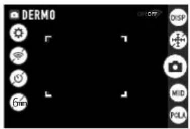 DERMO OFF DISP 6mm MID POLA