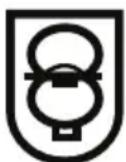 HUSQVARNA T542i XP G - Symbole auf dem Akku und/oder auf dem Ladegerät - 2