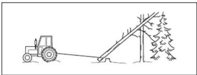 HUSQVARNA 540 XP Mark III - To free a trapped tree - 3