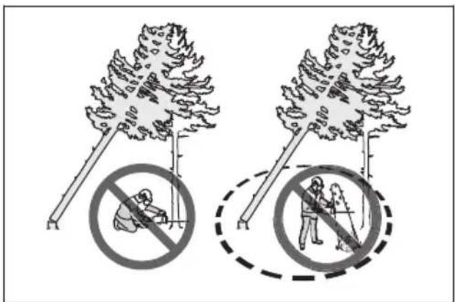 HUSQVARNA 540 XP Mark III - Liberación de un árbol atascado - 2