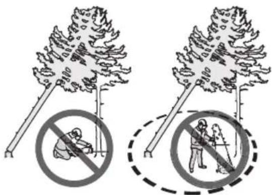 HUSQVARNA 562 XP Mark II - So befreien Sie einen eingeklemmten Baum - 2