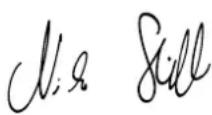 STIHL MH 585 - TÜRKEI - 1