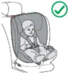 Lionelo Nelly i-Size - MONTAGE IM AUTO - 1