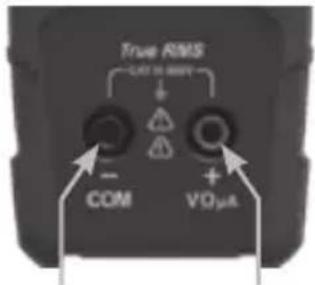 True RMS OUT TO FREE + COM VOµA