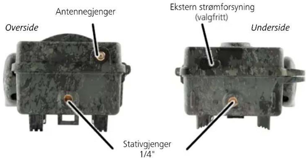 ZEISS Secacam 5 - Montering med stativ/treholder - 1